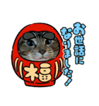 北の国ニャンコオールスターズ・春夏秋冬篇（個別スタンプ：38）