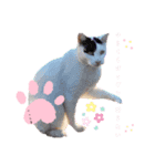 コロタローと愉快な仲間たち（個別スタンプ：3）