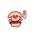 トイプードルのキャン太郎（個別スタンプ：11）
