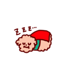 トイプードルのキャン太郎（個別スタンプ：12）