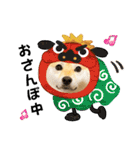 柴犬ももスタンプ～日常会話～（個別スタンプ：35）