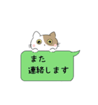 にちじょうとねこ（個別スタンプ：35）