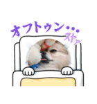 ウチの子がいちばん2（個別スタンプ：3）