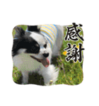 ウチの子がいちばん2（個別スタンプ：7）