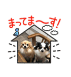 ウチの子がいちばん2（個別スタンプ：11）