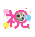 ウチの子がいちばん2（個別スタンプ：18）