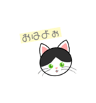 ハチワレ 白黒 ねこ(イラストver.)（個別スタンプ：1）