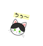 ハチワレ 白黒 ねこ(イラストver.)（個別スタンプ：2）