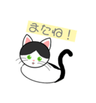 ハチワレ 白黒 ねこ(イラストver.)（個別スタンプ：5）