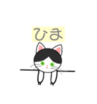 ハチワレ 白黒 ねこ(イラストver.)（個別スタンプ：6）