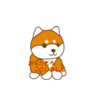 柴犬 あいさつ 01（個別スタンプ：2）