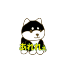 柴犬 あいさつ 01（個別スタンプ：6）