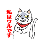 赤いスカーフを持つ白い猫f Japanese Ver.（個別スタンプ：14）