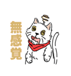 赤いスカーフを持つ白い猫f Japanese Ver.（個別スタンプ：17）