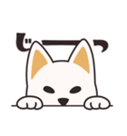 でふぉるめ柴犬スタンプ 白 vol.3（個別スタンプ：6）