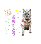 コロちゃんスタンプ✧*（個別スタンプ：5）