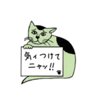 緑猫伝言板（個別スタンプ：2）