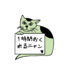 緑猫伝言板（個別スタンプ：5）