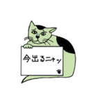 緑猫伝言板（個別スタンプ：6）