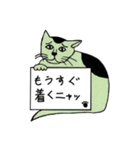 緑猫伝言板（個別スタンプ：8）