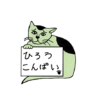 緑猫伝言板（個別スタンプ：11）