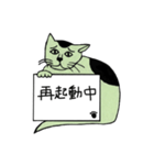 緑猫伝言板（個別スタンプ：16）