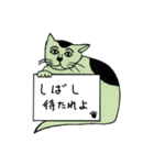 緑猫伝言板（個別スタンプ：34）