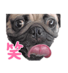 ひさほの時々もきち（個別スタンプ：4）