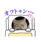 ☆太郎の日常⑨（個別スタンプ：14）