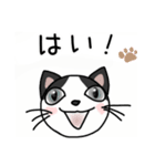 年中使える☆ハチワレ猫 (丁寧語)（個別スタンプ：1）