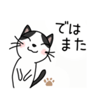 年中使える☆ハチワレ猫 (丁寧語)（個別スタンプ：26）