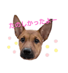 レーベンっ子のおしゃべり1（個別スタンプ：4）