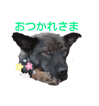 レーベンっ子のおしゃべり1（個別スタンプ：6）