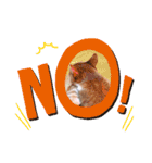 毎日、猫（個別スタンプ：2）