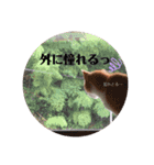毎日、猫（個別スタンプ：7）