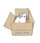 トビニキ（個別スタンプ：13）