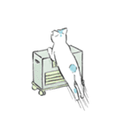 トビニキ（個別スタンプ：33）