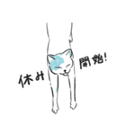 トビニキ（個別スタンプ：40）