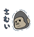 ゴリラの日常～Daily life of a gorilla～（個別スタンプ：15）