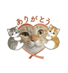 ラスちゃんのすたんぷ（個別スタンプ：5）