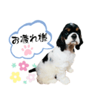 いろちゃん with てまりちゃんVol.3（個別スタンプ：2）