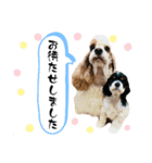 いろちゃん with てまりちゃんVol.3（個別スタンプ：3）