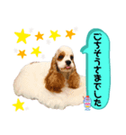 いろちゃん with てまりちゃんVol.3（個別スタンプ：5）