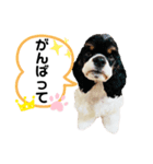 いろちゃん with てまりちゃんVol.3（個別スタンプ：7）