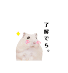 プディングハムスターぽむ（個別スタンプ：4）