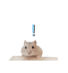 プディングハムスターぽむ（個別スタンプ：18）