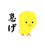 かわいい！ぴよちゃん（個別スタンプ：1）