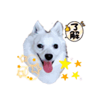 レーベンっ子のおしゃべり2（個別スタンプ：2）
