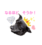 レーベンっ子のおしゃべり2（個別スタンプ：4）