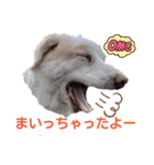 レーベンっ子のおしゃべり2（個別スタンプ：5）